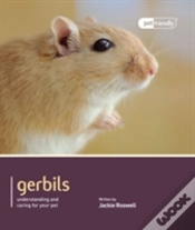 Capa do artigo Gerbils