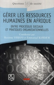 Capa do artigo Gerer Les Ressources Humaines En Afrique - Entre Processus Sociaux Et Pratiques Organisationnelles