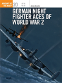 German Night Fighter Aces Of World War 2 - Preview