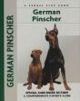 German Pinscher - Preview