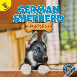 Capa do artigo German Shepherd Puppies