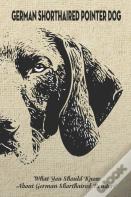 German Shorthaired Pointer Dog