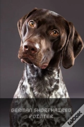 Capa do artigo German Shorthaired Pointer