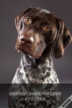Capa do artigo German Shorthaired Pointer