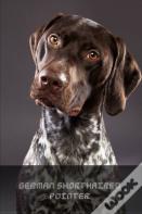 German Shorthaired Pointer