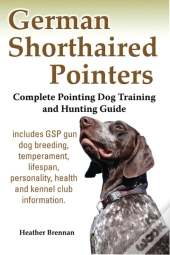 German Shorthaired Pointers