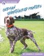 German Shorthaired Pointers - Preview