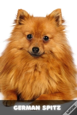 Capa do artigo German Spitz