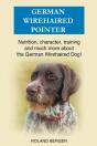 German Wirehaired Pointer - Preview