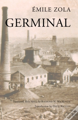 Capa do artigo Germinal