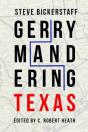 Gerrymandering Texas - Preview