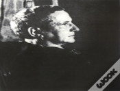 Gertrude Stein Remembered