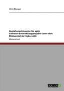 Gestaltungshinweise Far Agile Software-Entwicklungsprojekte Unter Dem Blickwinkel Der Kybernetik