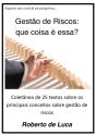 Gestão De Riscos - Que Coisa É Essa? - Preview