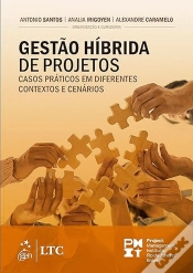 Capa do artigo Gestão Híbrida de Projetos