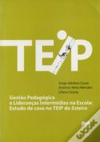 Gestão Pedagógica e Lideranças Intermediárias na Escola
