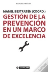 Gestión De La Prevención En Un Marco De Excelencia