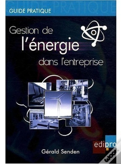 Capa do artigo Gestion De L'Énergie En Entreprise