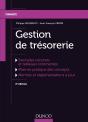 Gestion De Trésorerie (2e Édition) - Preview
