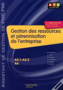 Capa do artigo Gestion Des Ressources Et Pérennisation De L'Entreprise ; Bts Pme/Pmi