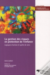 Capa do artigo Gestion Des Risques En Protection De L