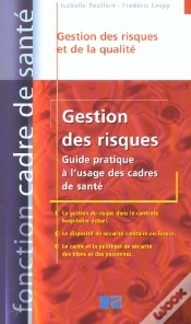 Capa do artigo Gestion Des Risques ; Guide Pratique A L