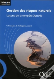 Capa do artigo Gestion Des Risques Naturels - Lecons De La Tempete Xynthia.
