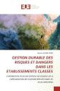Gestion Durable Des Risques Et Dangers Dans Les Etablissements Classes - Contribution Pour Une Gesti - Preview