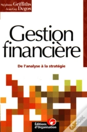 Gestion Financière : De L'Analyse À La Stratégie
