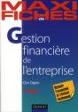 Gestion Financière De L'Entreprise (2e Édition) - Preview