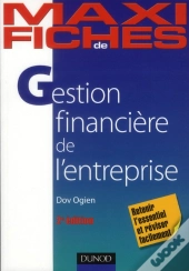 Gestion Financière De L'Entreprise (2e Édition)