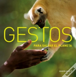 Capa do artigo Gestos Para Salvar El Planeta