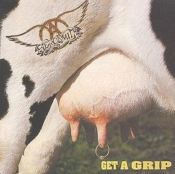 Capa do artigo Get a Grip - CD