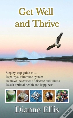 Capa do artigo Get Well  And Thrive