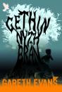 Gethin Nyth Bran - Preview