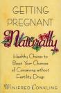 Getting Pregnant Naturally - Preview