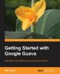 Getting Started With Google Guava - Preview