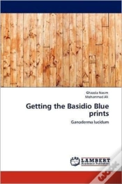 Capa do artigo Getting The Basidio Blue Prints