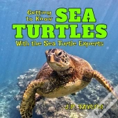 Getting To Know Sea Turtles