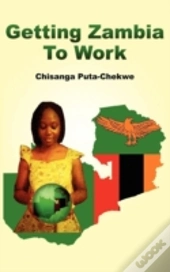 Getting Zambia To Work