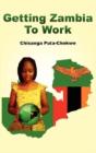 Getting Zambia To Work - Preview