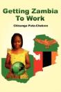 Getting Zambia To Work (Pb) - Preview