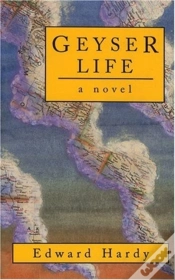 Capa do artigo Geyser Life
