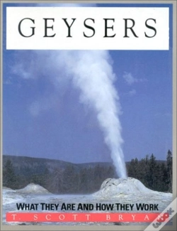 Capa do artigo Geysers