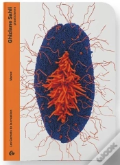 Capa do artigo Ghizlane Sahli - Plasticienne