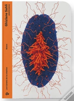 Capa do artigo Ghizlane Sahli - Plasticienne