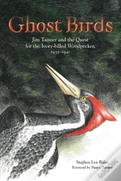 Capa do artigo Ghost Birds