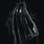 Ghost Electricity/Vampire Draw - Vinil - Preview