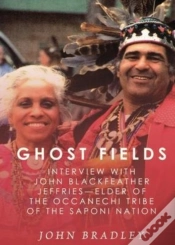 Capa do artigo Ghost Fields
