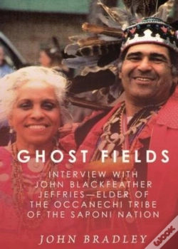 Capa do artigo Ghost Fields